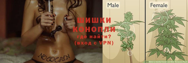 молекула духа Алзамай