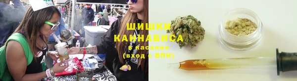 молекула духа Алзамай