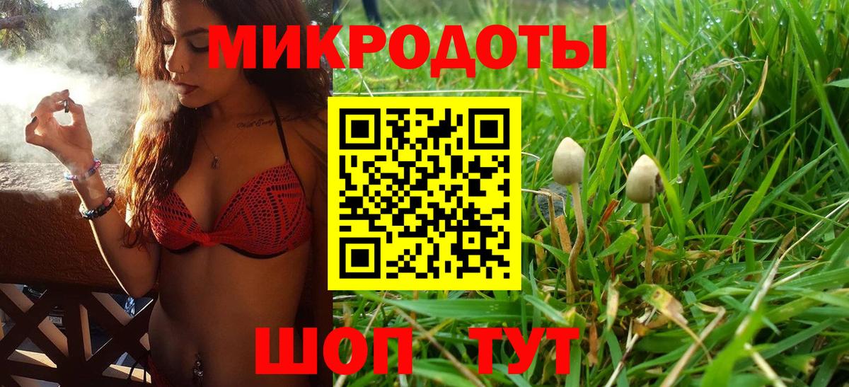 Псилоцибиновые грибы ЛСД Благовещенск
